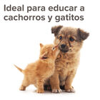 Beaphar Gel Educador para Exterior para perros y gatos, , large image number null
